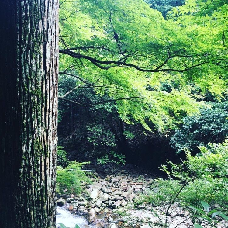 nostalgic_studio_8863さんが投稿した赤目温泉隠れの湯 対泉閣に関する口コミの画像