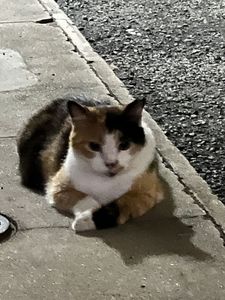 リカーマウンテン 古川橋店 2枚目