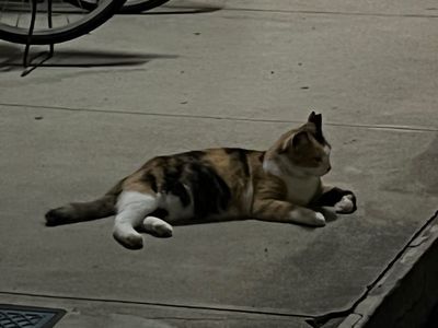リカーマウンテン 古川橋店 3枚目