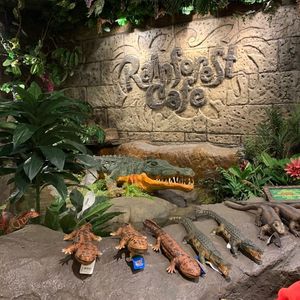 レインフォレストカフェ・トーキョー(Rainforest cafe) 8枚目