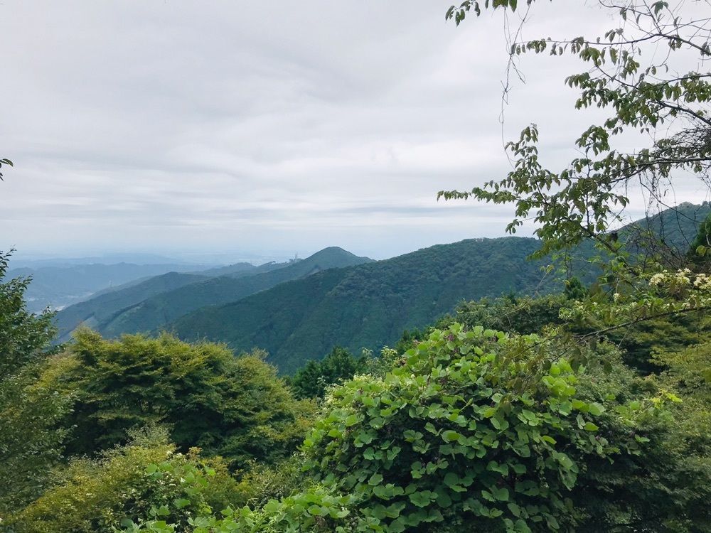MICHIさんが投稿した御岳山ケーブルカーに関する口コミの画像