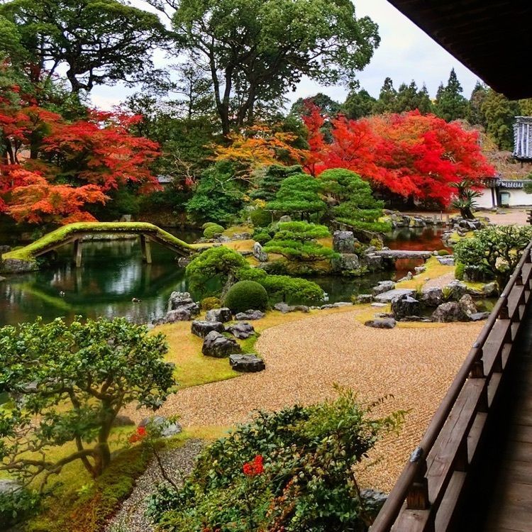 てっつーさんが投稿した醍醐寺(京都市伏見)に関する口コミの画像