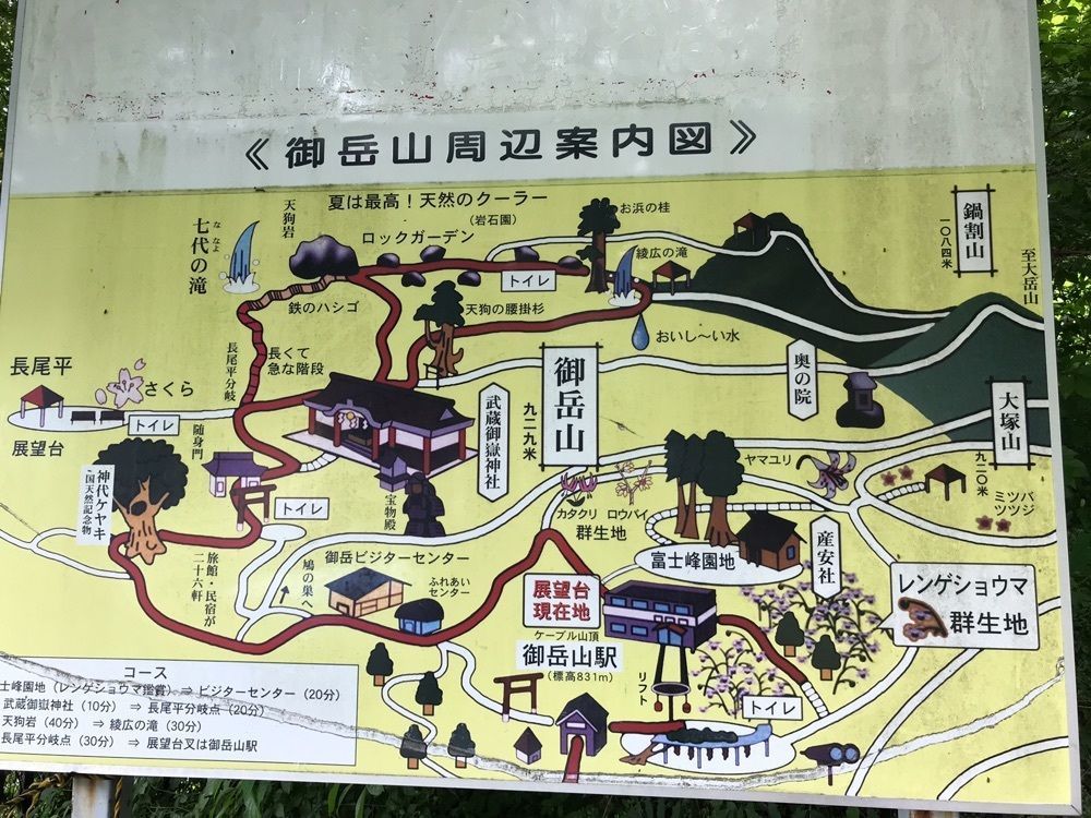 MICHIさんが投稿した御岳山のレンゲショウマに関する口コミの画像