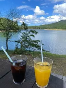 正直村