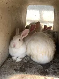 戸隠キャンプ場 3枚目