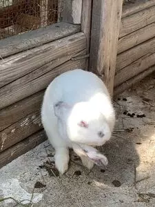戸隠キャンプ場 2枚目