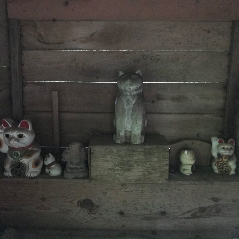 猫なぎ。さんが投稿した斗蔵寺に関する口コミの画像