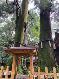 高千穂神社（十社大明神）