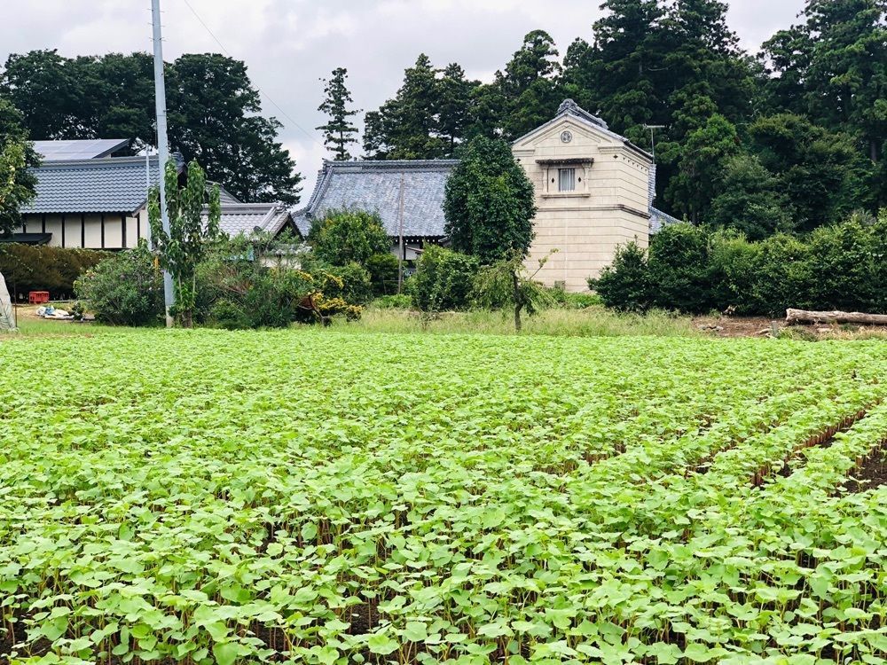 rider_uさんが投稿した宮山ふるさとふれあい公園に関する口コミの画像