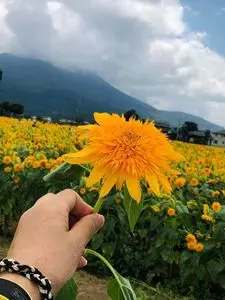 宮山ふるさとふれあい公園 3枚目