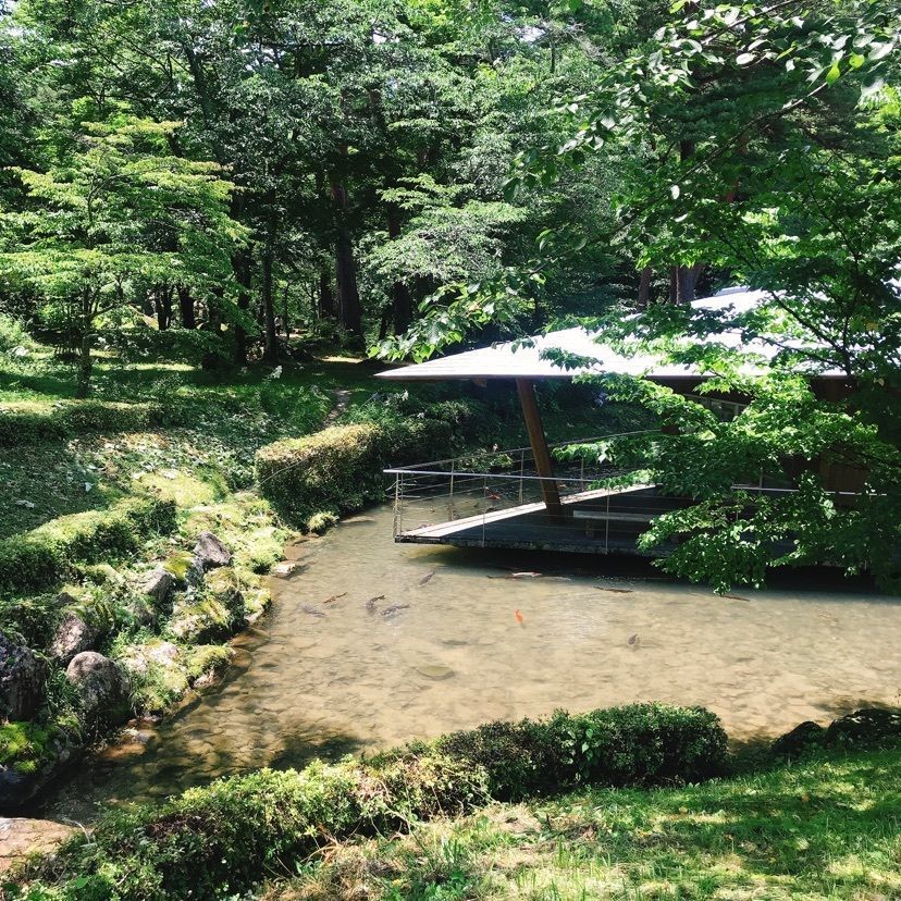 猫なぎ。さんが投稿した不動尊公園に関する口コミの画像