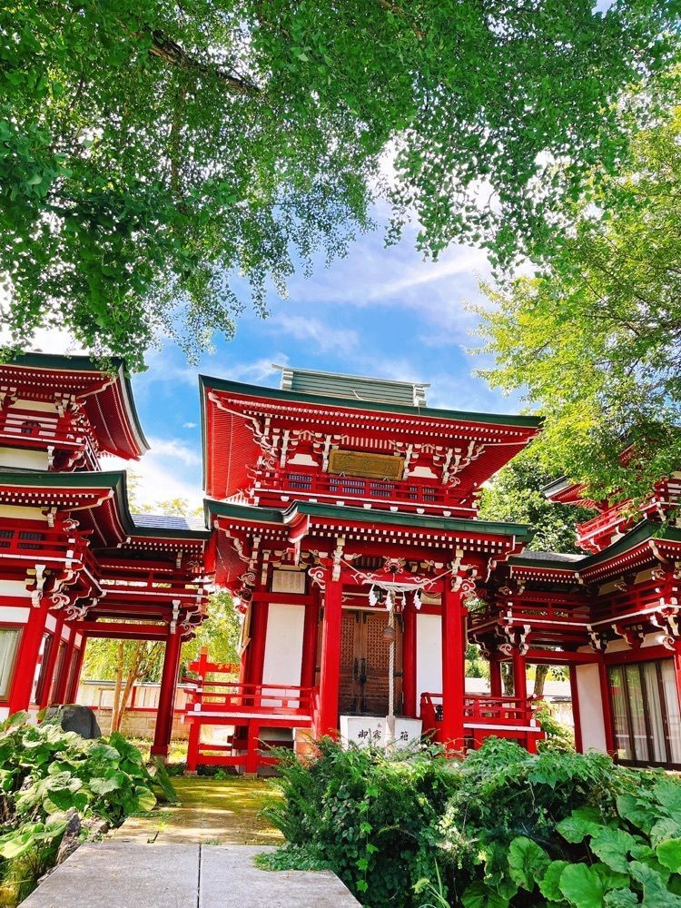 猫なぎ。さんが投稿した小町園に関する口コミの画像