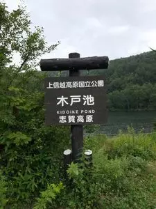 志賀高原木戸池