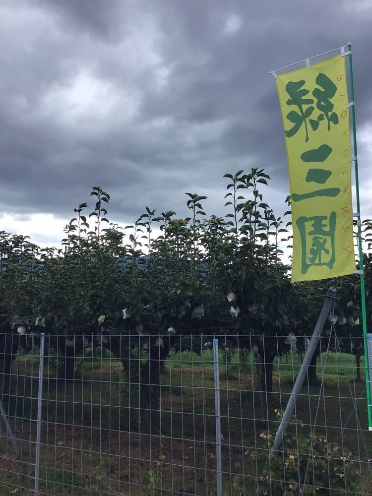 shin-emonさんさんが投稿した大阿太高原梨園に関する口コミの画像