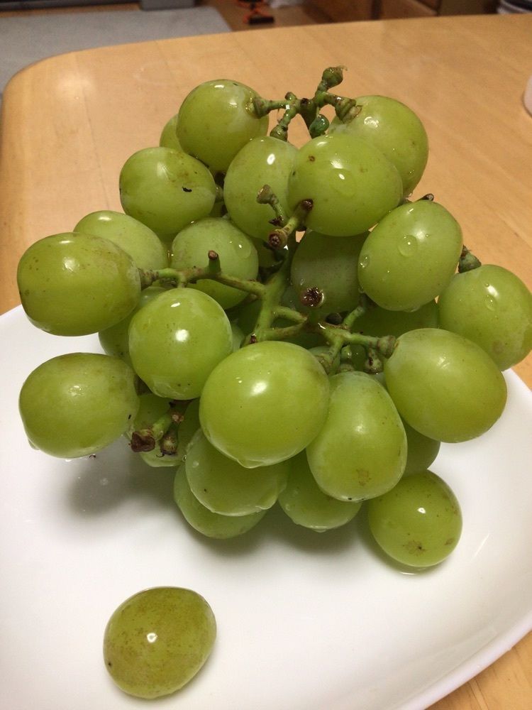 shin-emonさんさんが投稿した大阿太高原梨園に関する口コミの画像