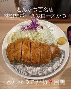 とんかつ目黒こがね