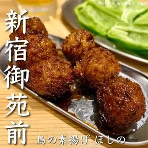 大衆酒場 鳥の素揚げ ほしの 本店