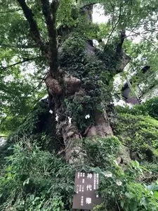 武蔵御嶽神社