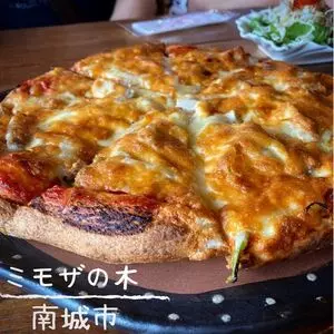 ピザ喫茶 ミモザの木