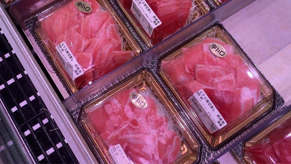 おでかけ探検部さんが投稿した角上魚類 寺泊本店に関する口コミの画像