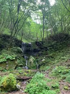 たまだれの滝