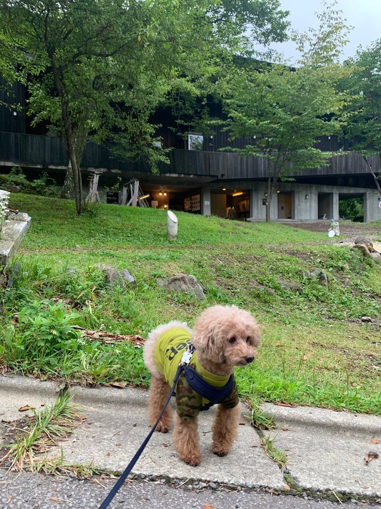ティンクとハムさんが投稿した休暇村 嬬恋鹿沢に関する口コミの画像