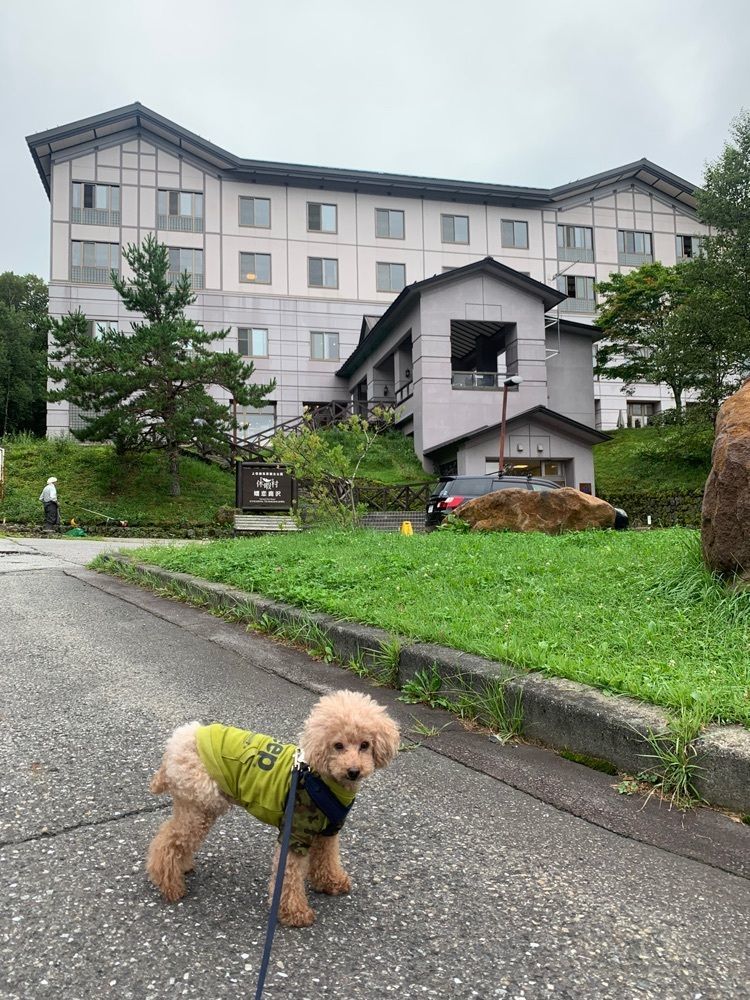 ティンクとハムさんが投稿した休暇村 嬬恋鹿沢に関する口コミの画像