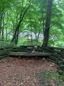 鹿沢インフォメーションセンター