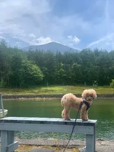 浅間ハイランドパーク