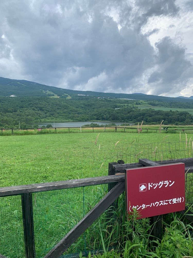 ティンクとハムさんが投稿したカンパーニャ嬬恋キャンプ場に関する口コミの画像