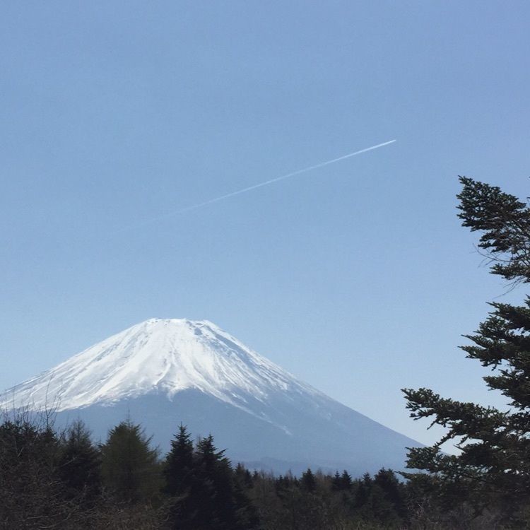 からっ風さんが投稿した上九一色村精進地区に関する口コミの画像