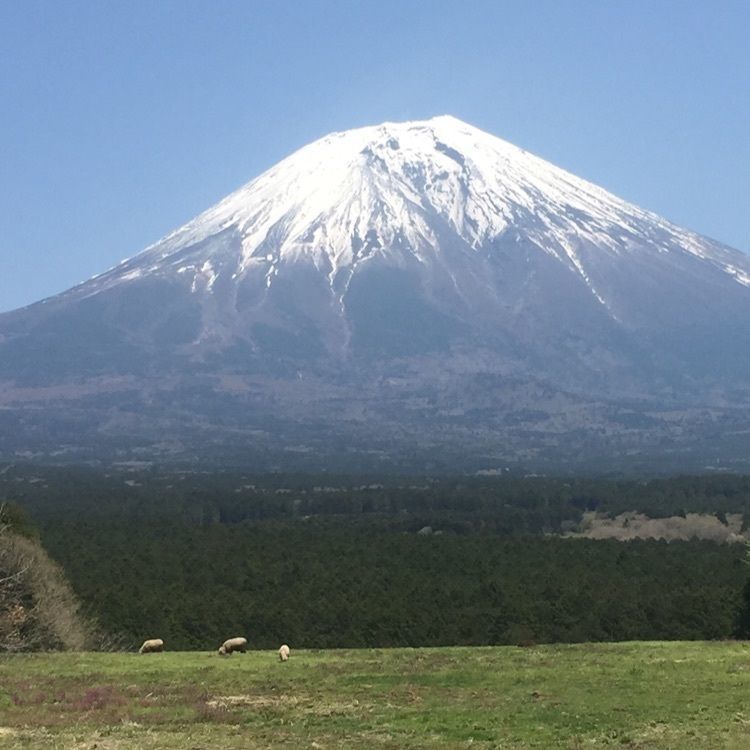 からっ風さんが投稿した上九一色村精進地区に関する口コミの画像