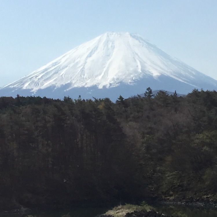 からっ風さんが投稿した上九一色村精進地区に関する口コミの画像