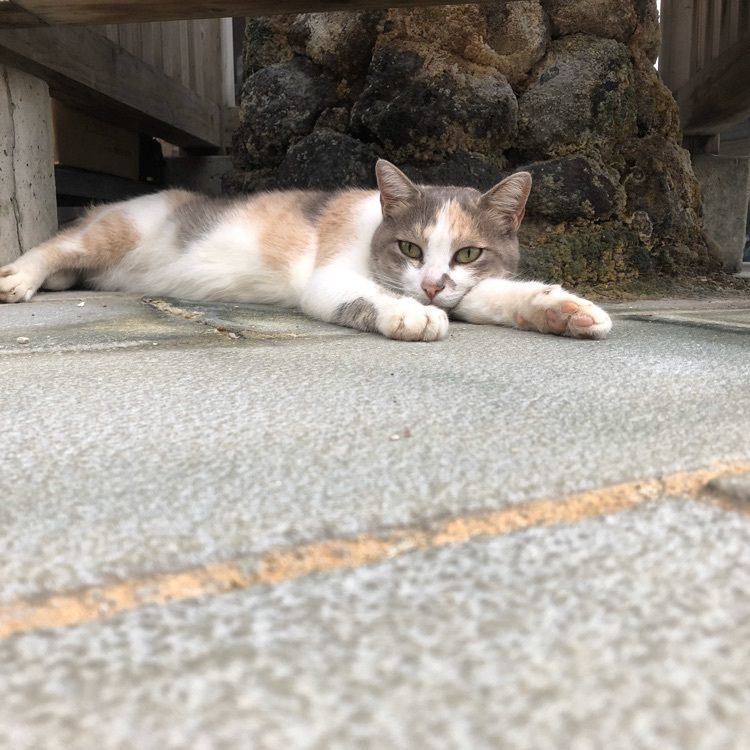 Love beerさんが投稿した雲仙地獄工房に関する口コミの画像