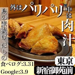 大衆酒場 鳥の素揚げ ほしの 本店