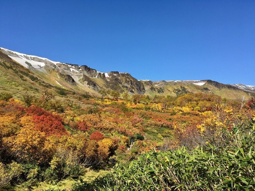 yoshiさんが投稿した大雪高原温泉に関する口コミの画像