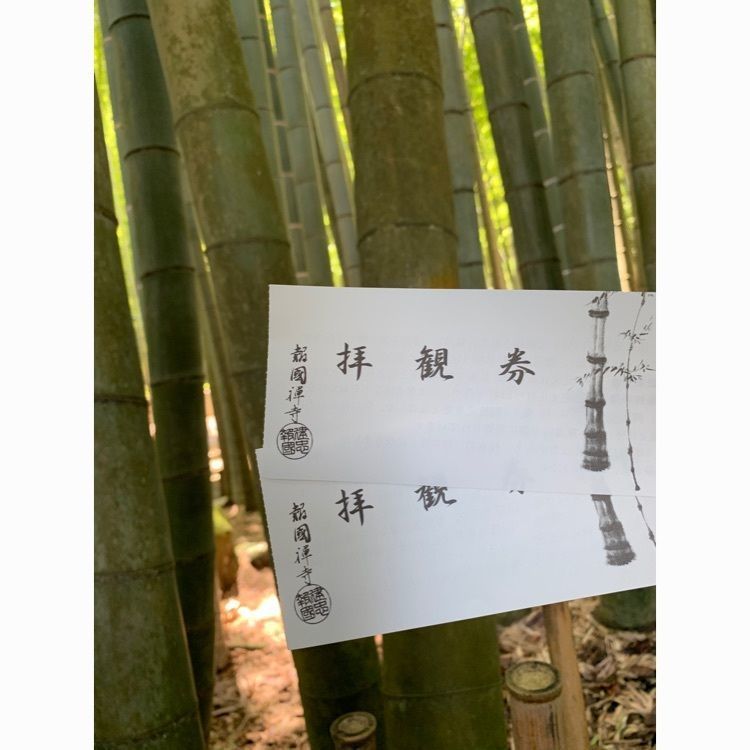 POSER さんが投稿した報國寺に関する口コミの画像