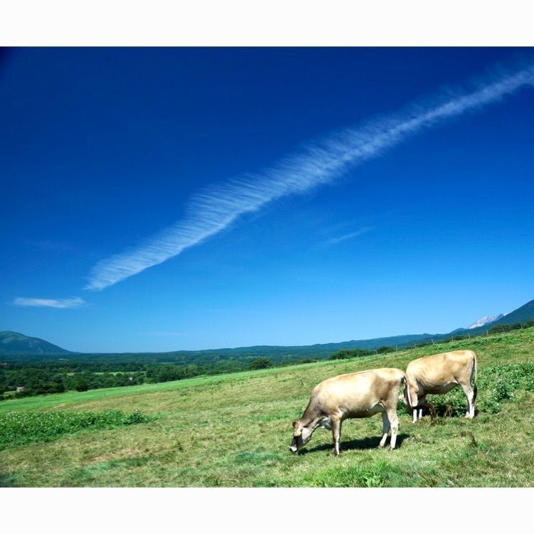 Tettsuさんが投稿した蒜山高原に関する口コミの画像