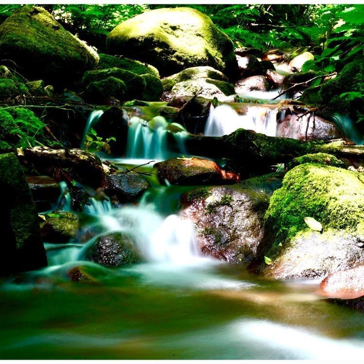Tettsuさんが投稿した蒜山高原に関する口コミの画像