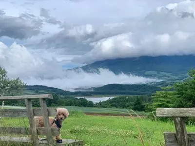 愛妻の丘