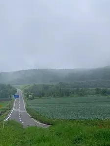 パノラマライン北ルート