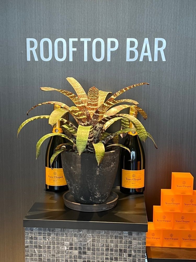 🤎アイヒンまま🤎さんが投稿したルーフトップバー（ROOFTOP BAR）に関する口コミの画像