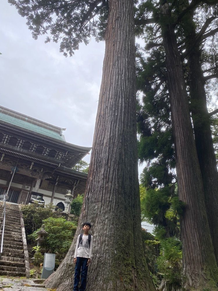 あるふぃすたさんが投稿した福王寺（広島県広島市）に関する口コミの画像