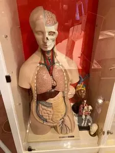 多摩六都科学館 1枚目