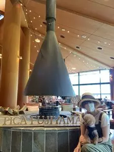 PICA Fujiyama