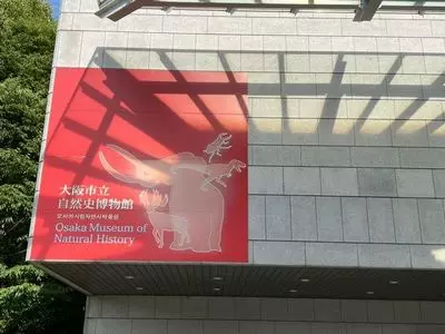 大阪市立自然史博物館