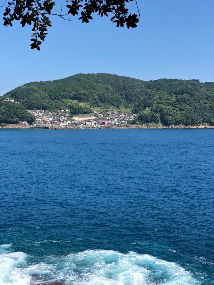 nicanさんが投稿した鬼ケ城に関する口コミの画像