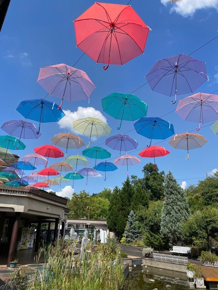 スリーカラーさんが投稿した富田林市農業公園 サバーファームに関する口コミの画像