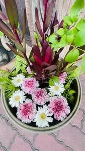 長野屋製菓