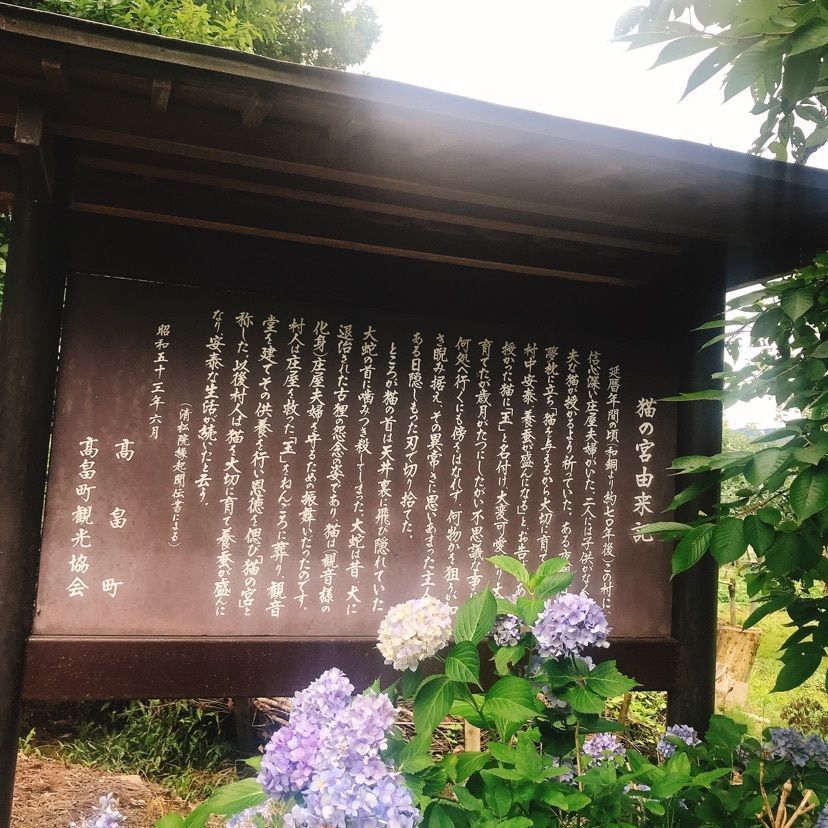 猫なぎ。さんが投稿した猫の宮に関する口コミの画像